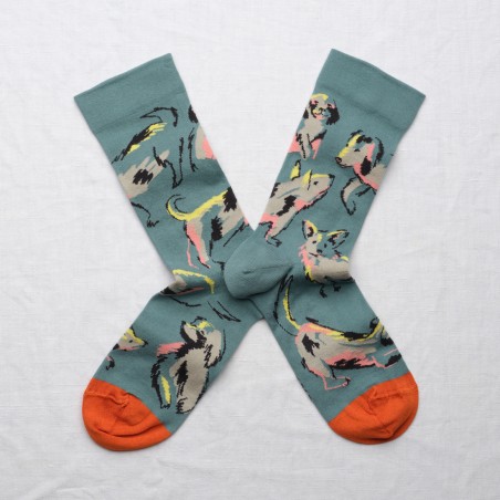 Sock Dogs Arctic